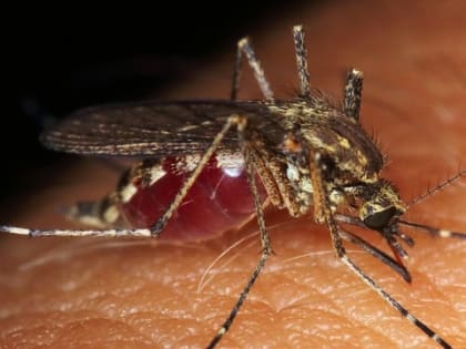 Поехать на отдых и умереть: каких болезней стоит опасаться туристам из Казани при планировании отдыха