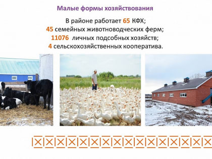 В Нижнекамске за три месяца произведено 5515 тонн мяса