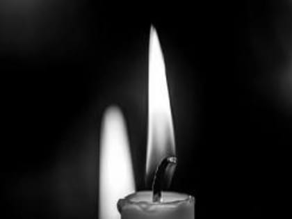 Российский хоккеист скончался после укуса клеща