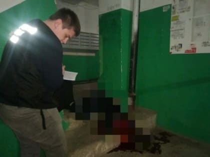 В Саратове жестоко зарезали 18-летнюю девушку из-за долга в 2 тыс рублей