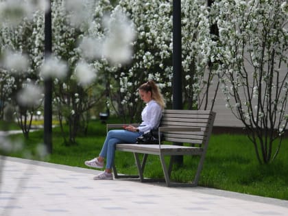 Как бороться со стрессом? – советы врачей