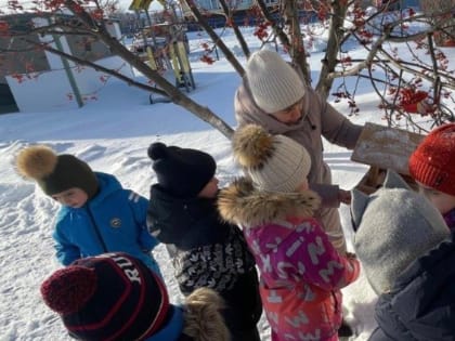 Заботу о пернатых друзьях проявили юные экологи Татарстана 