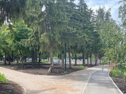 В Бугульме переменная облачность, без осадков