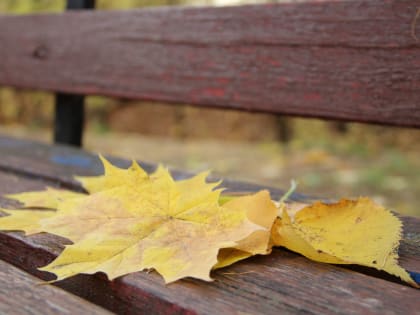 «Сентябрь будет сумасшедшим». Синоптики дали новый прогноз на начало осени