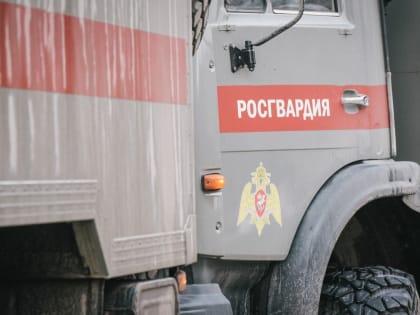 Росгвардейцы задержали нетрезвого казанца с ножом