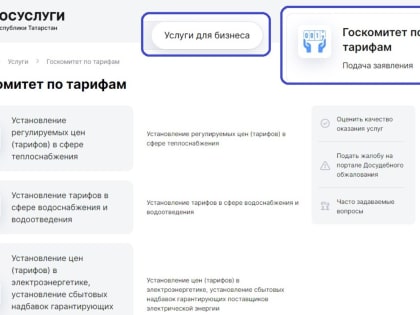 Государственные услуги в сфере тарифного регулирования, оказываемые Госкомитетом РТ по тарифам