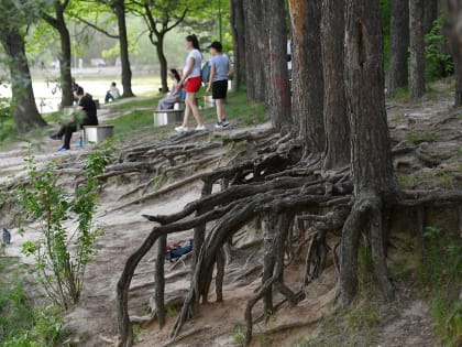 На озере Комсомольском пройдут соревнования по спортивному ориентированию
