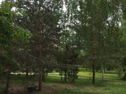 МЧС предупредило о сильном ветре в Татарстане