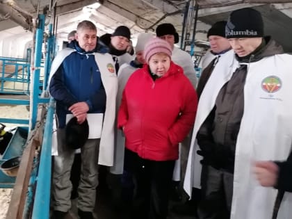 Животноводство требует ежедневного внимания