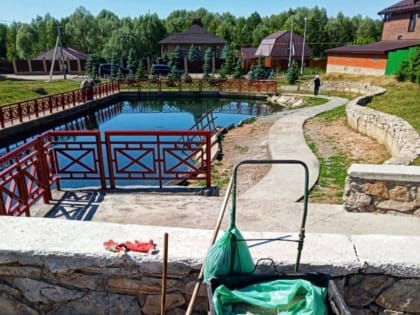 Горзеленхоз объяснил, почему «цветет» вода у Боровецкого родника