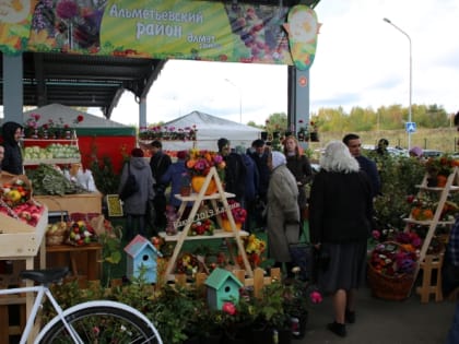 Садовые дары альметьевской земли были представлены на республиканском фестивале «Бакча - 2019»
