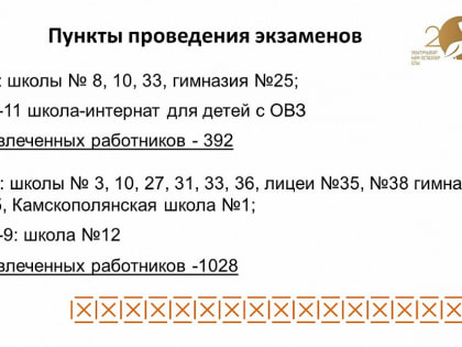 Нижнекамские школьники узнали о плане проведения ОГЭ и ЕГЭ