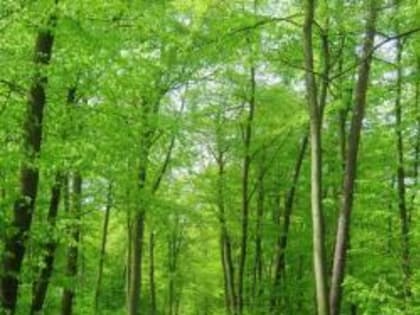 Температура воздуха в Татарстане упадет на 20 градусов