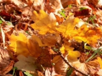 В Татарстане до конца сентября сохранится очень теплая и сухая погода