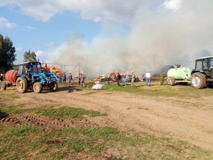 В Татарстане спасли от огня 60 телят и быков (ФОТО)
