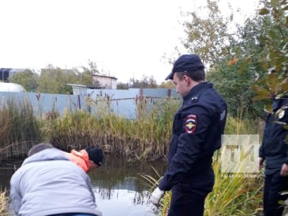 В Елабужском районе РТ в пруду в метре от берега нашли тело женщины (ФОТО)