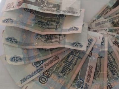 Альфия Когогина: Работодатели должны компенсировать работникам невыплату всей положенной зарплаты, в том числе и неначисленной