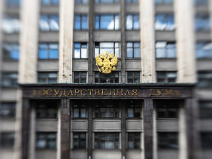 Госдума приняла в третьем чтении законопроект о публикации деклараций депутатов