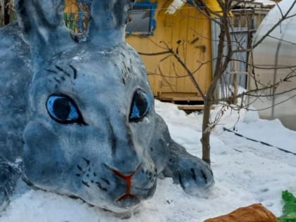 Лениногорцы, поддержим нашего земляка Гамира Латыпова