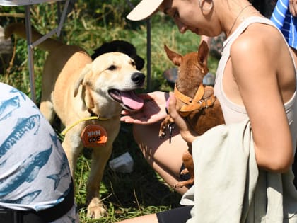 На бульваре по ул.Фучика пройдет благотворительная акция «Лапа дружбы»