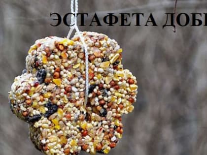 Продолжаем делиться видеороликами участников #Эстафетыдобра. Участвуй и ты!