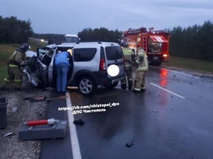 ​На трассе в Татарстане автомобиль улетел в кювет и сгорел дотла: есть погибший