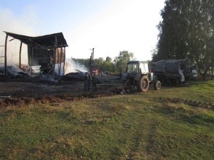 В Агрызском районе пожарные-добровольцы и работники фермы спасли от огня 60 телят и быков