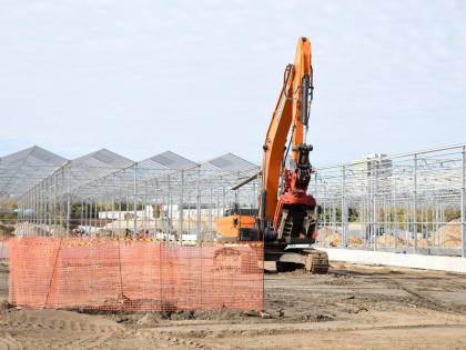 Казань готовится к увеличению производства цветов