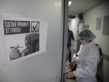 Гинцбург рассказал, как отличить грипп В от свиного гриппа А