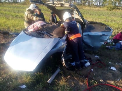 «Гибнут невинные люди из-за таких безмозглых водителей»: в Татарстане автомобиль вдребезги разбился о бетонную трубу