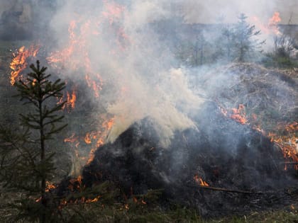 С 15 апреля в Татарстане начнет действовать особый противопожарный режим