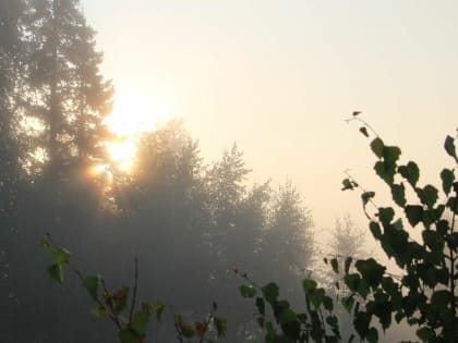 Смерть, метро и прокурор: чем жил Татарстан в праздничную пятницу