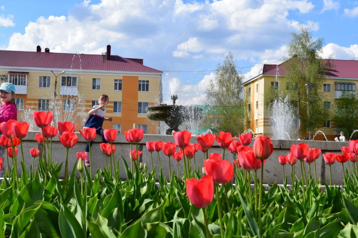 Город бавлы картинки