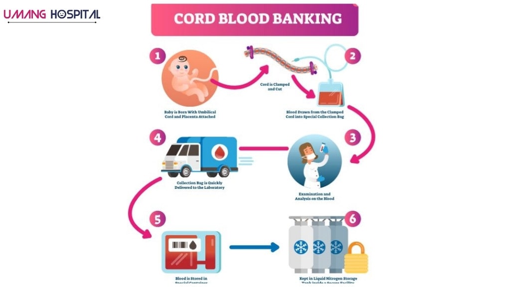 STEM CELL BANKING/ CORD BLOOD BANKING at UMANG Hospital