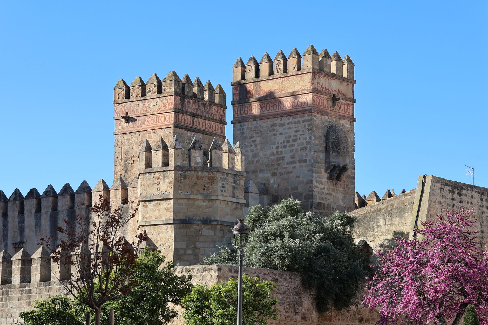 Transforma tu B2B con IA en Córdoba