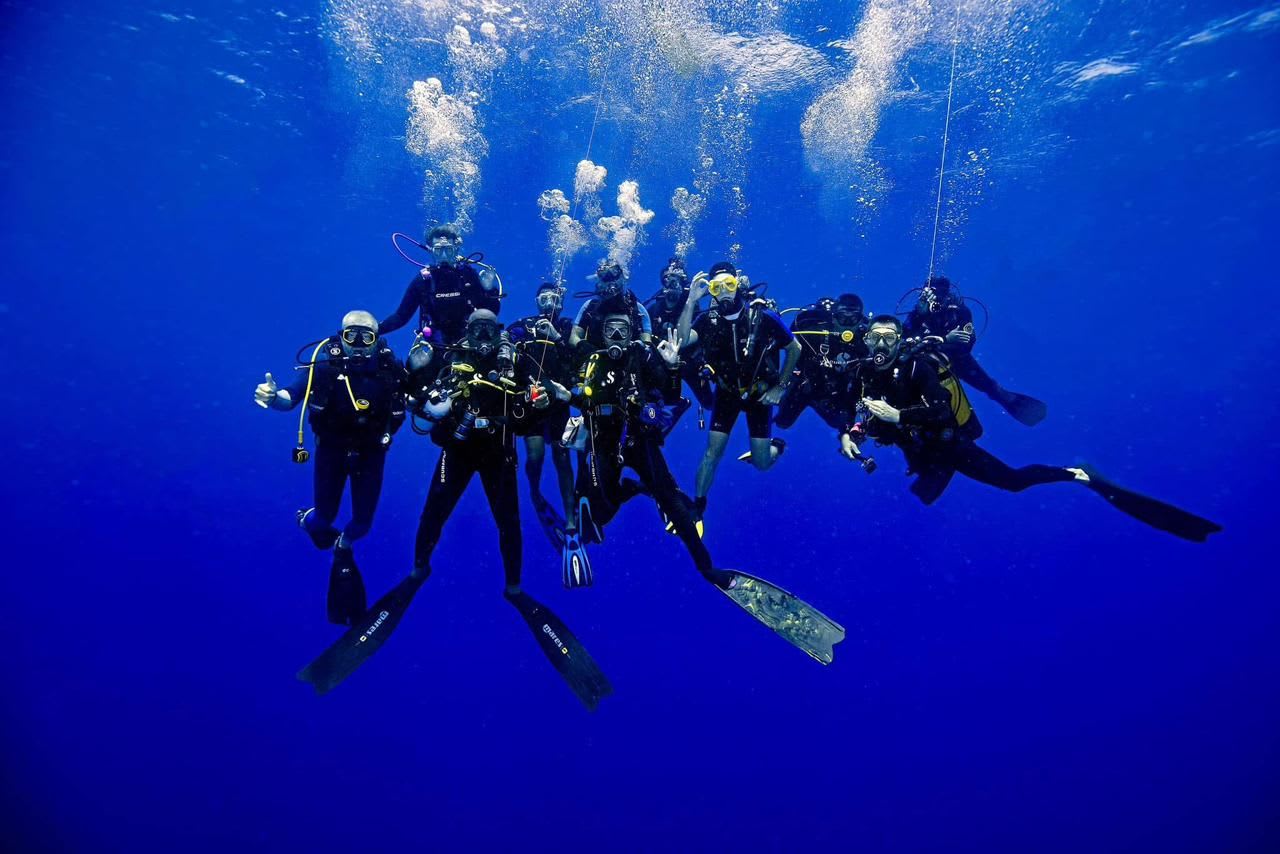 Guided Snorkeling Safaris