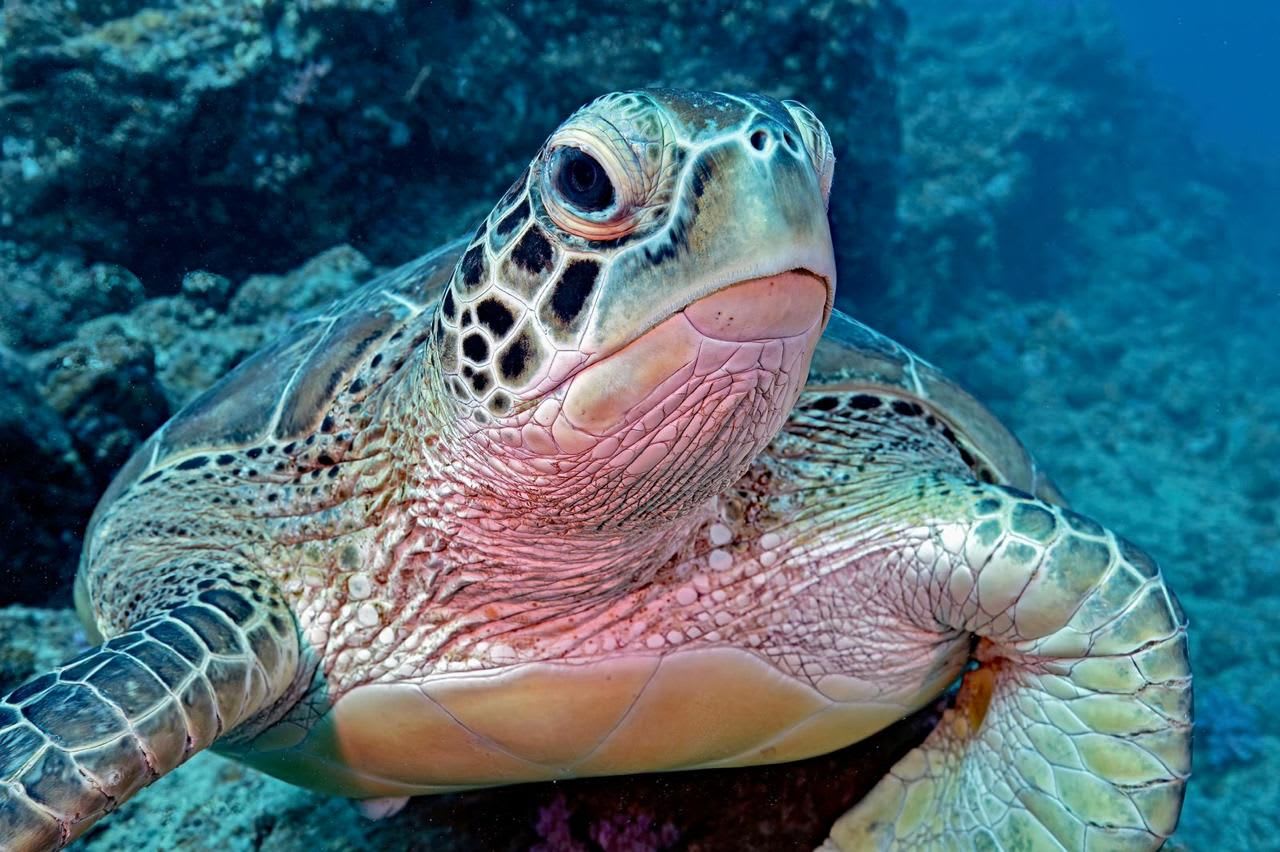 Explore Crystal Waters