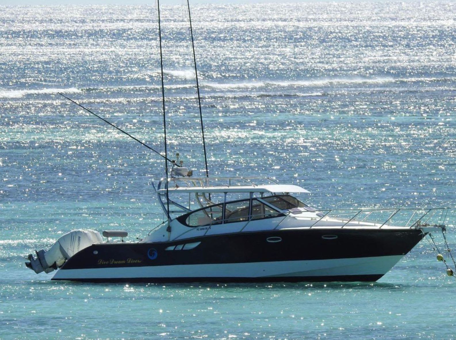 Private Boat Charters