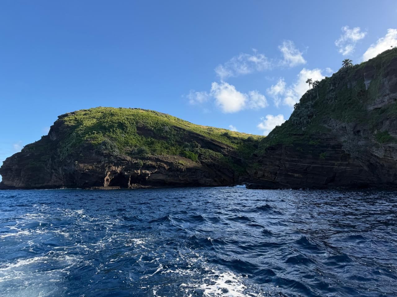 Dive Safaris Header