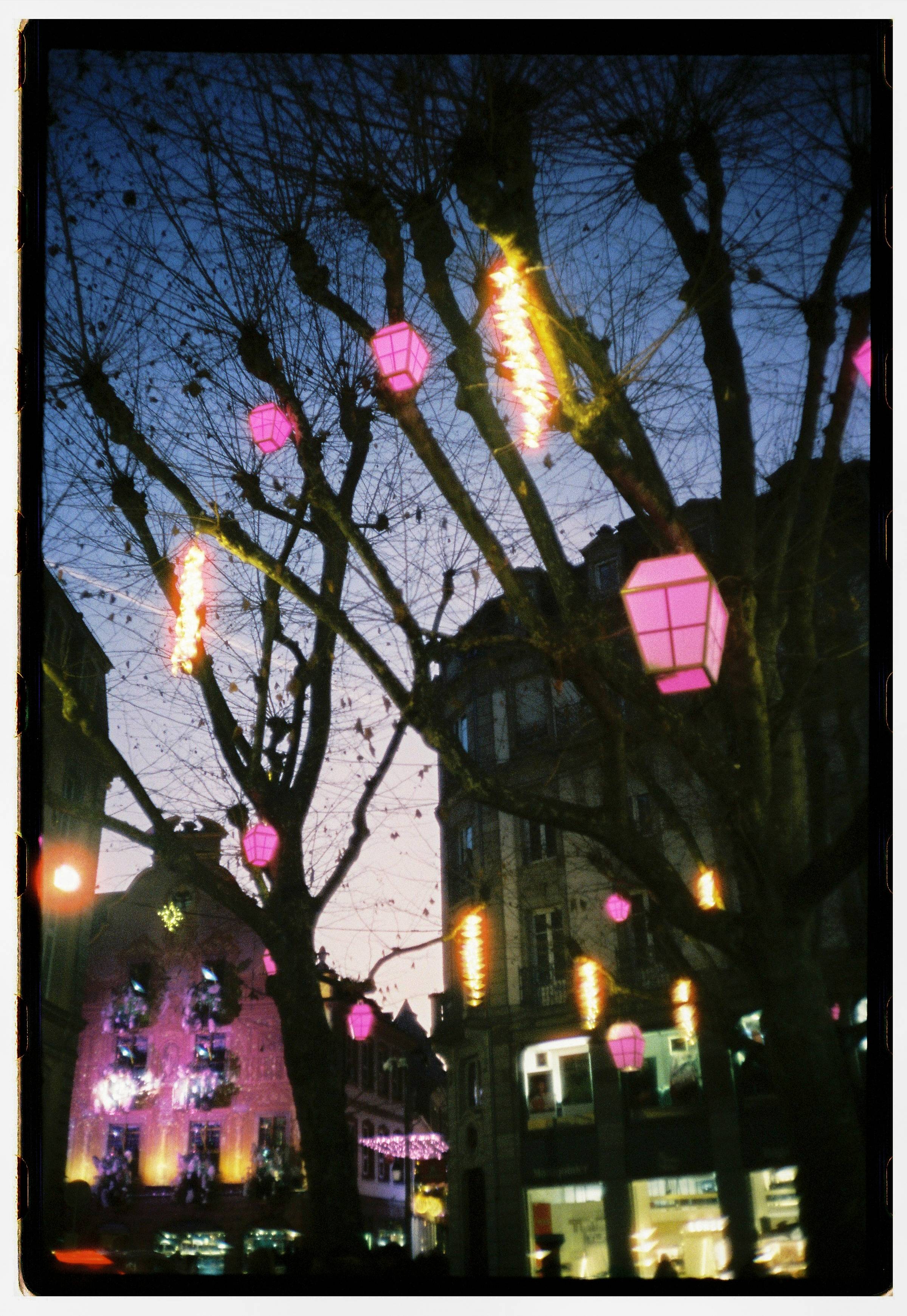 Cinestill 800T — sample shot