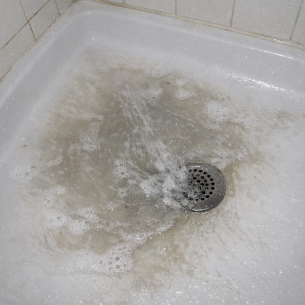 Priya's night-one rinse water