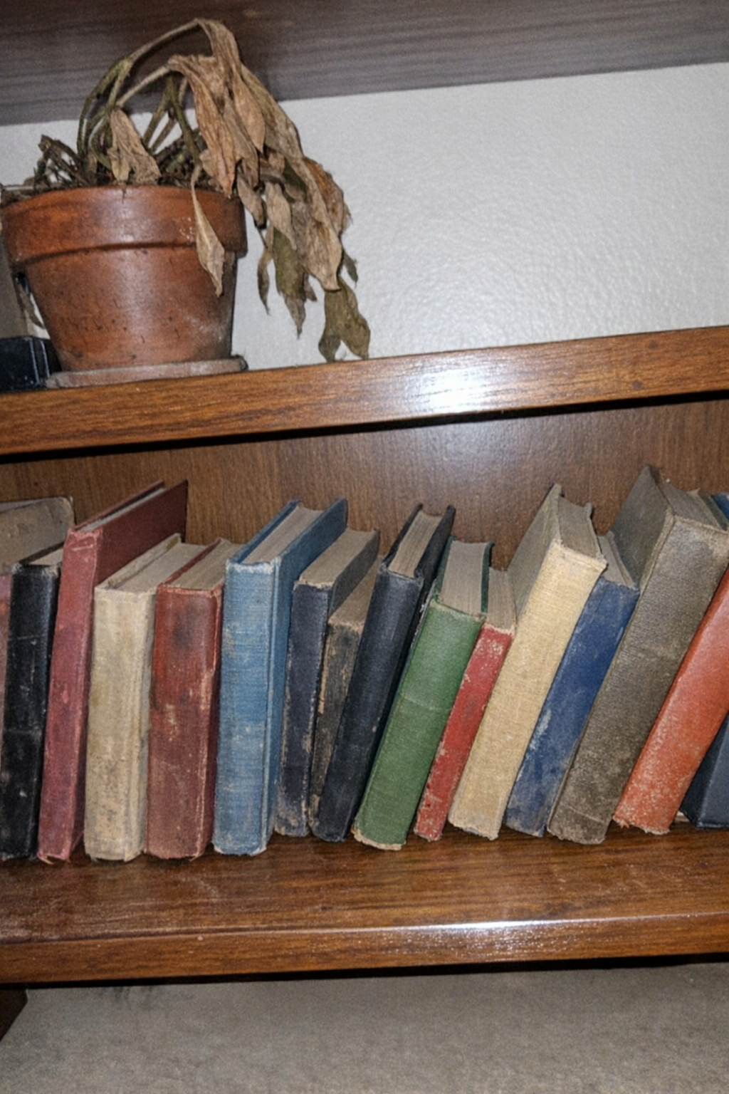 A shelf of worn diet books