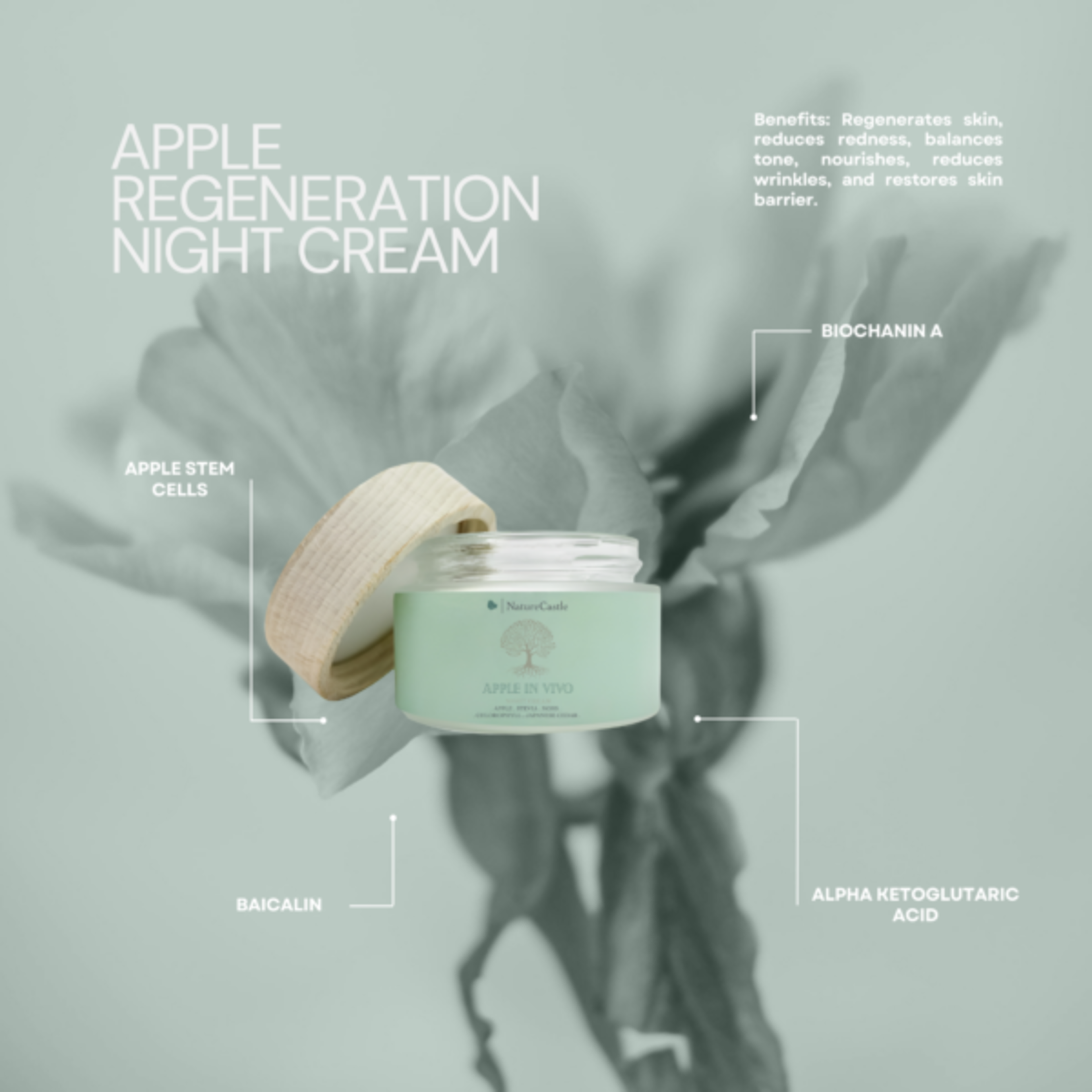 apple-regeneration-cream 1