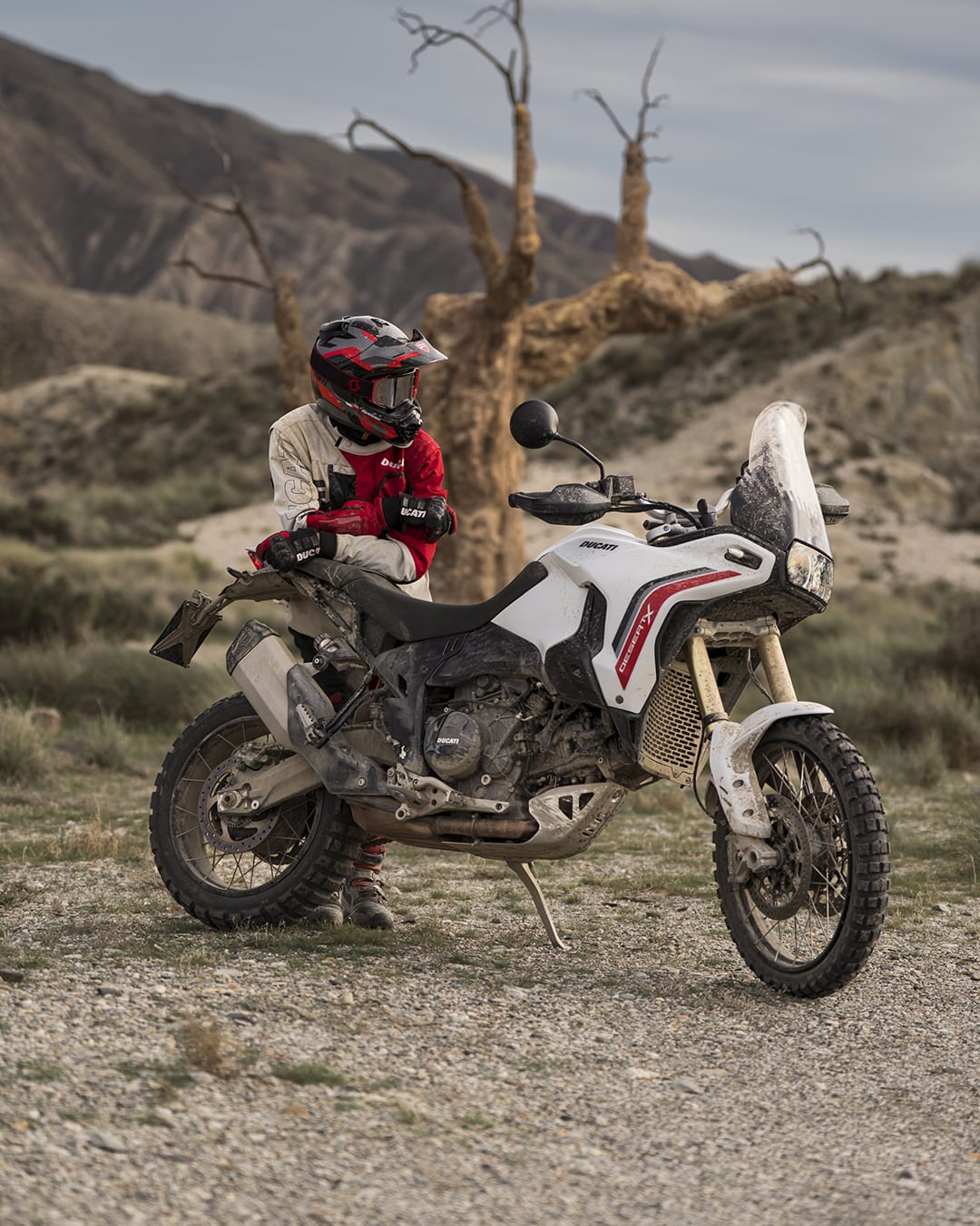 Ducati DesertX V2 galeriipilt 5