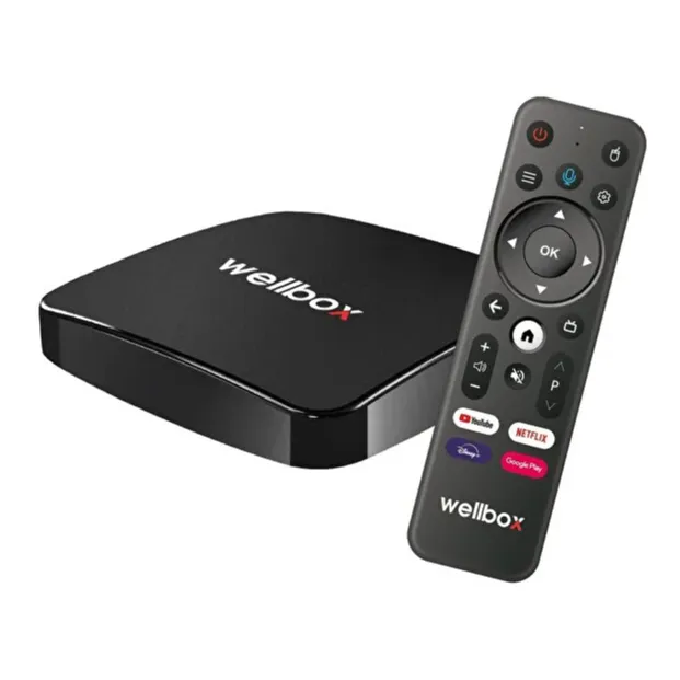 wellbox Max4 Android Tv Box Android 12 Sesli Komut 4gb Ram 32GB Hafıza