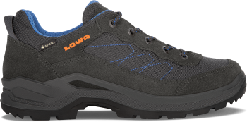 TAURUS PRO GTX LO