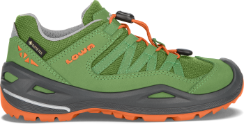 ROBIN GTX LO
