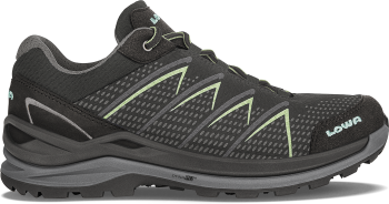 FERROX PRO GTX LO Ws