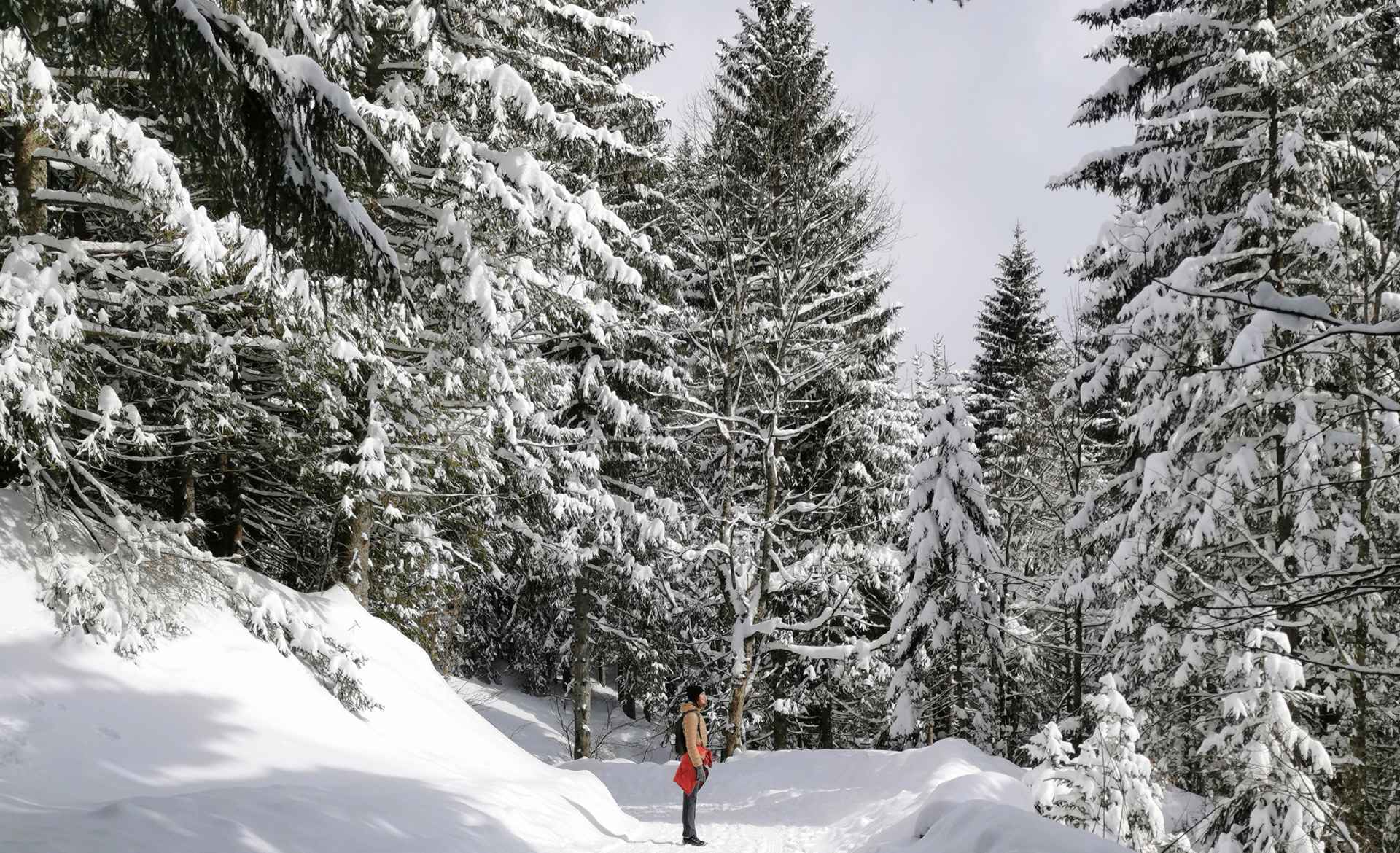 Imagefoto mit dem INNOX PRO GTX MID Ws, Patricia Krall (@patricia_krall) Microadventures