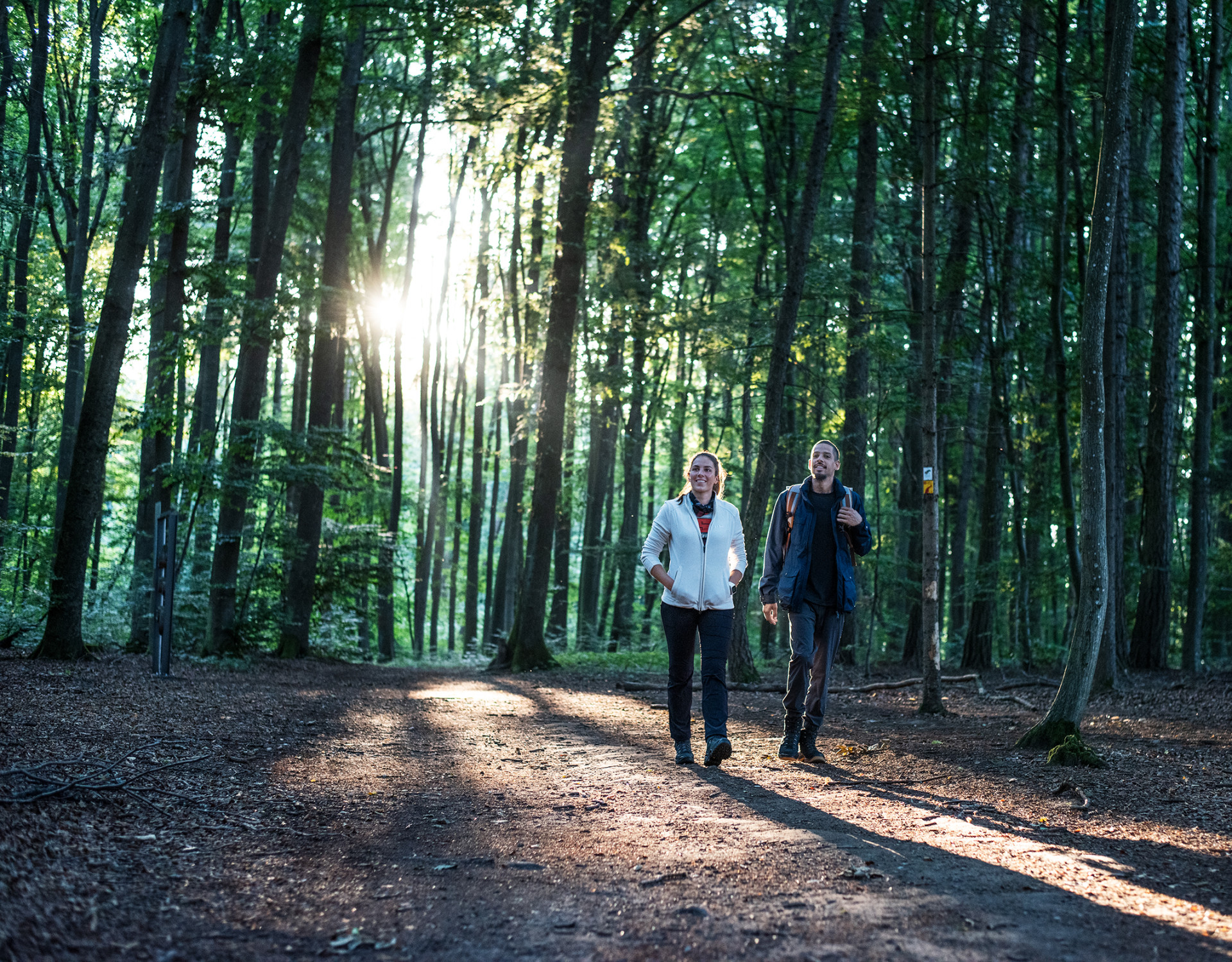 Imagefoto mit dem INNOX EVO GTX LO Ws, Nachhaltig Wandern
